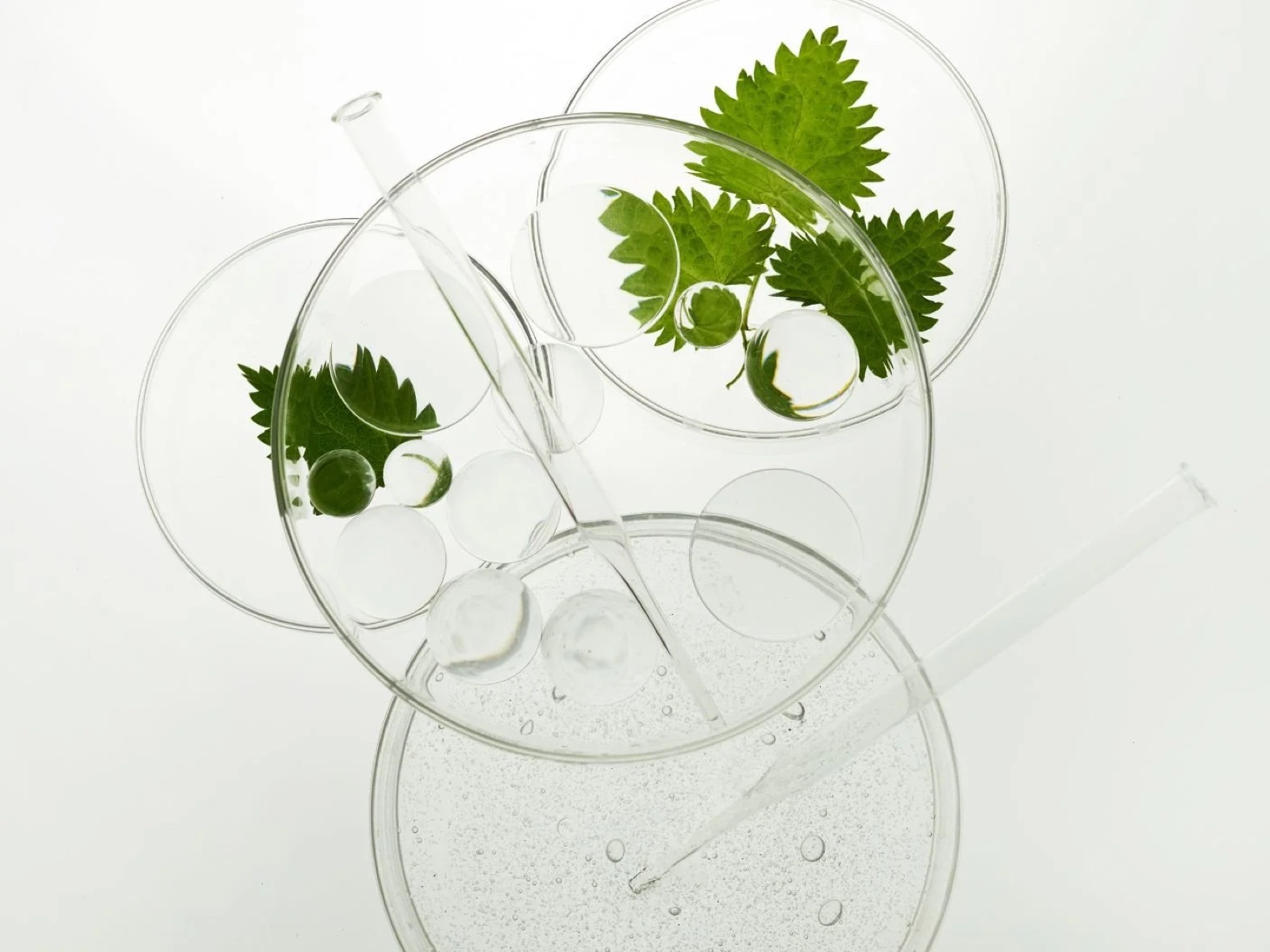 Therapeutic fasting in Berlin