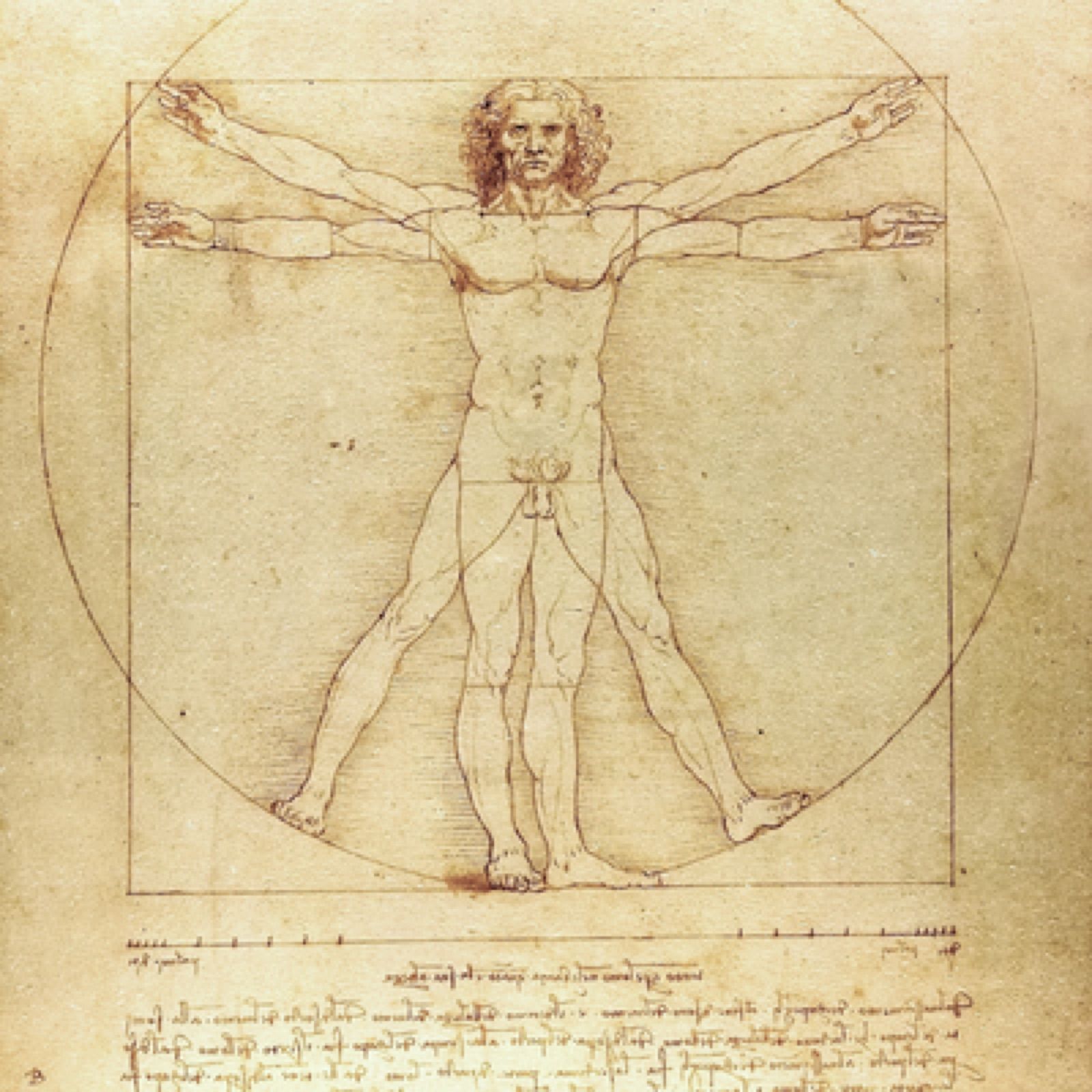 Anthroposophic medicine (copy) (copy) (copy)