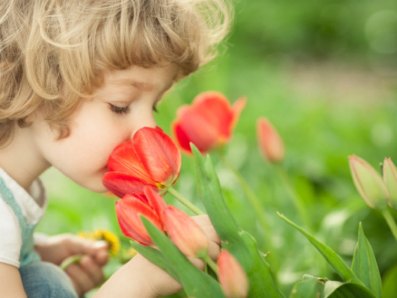 Naturopathy Berlin: Aromatherapy