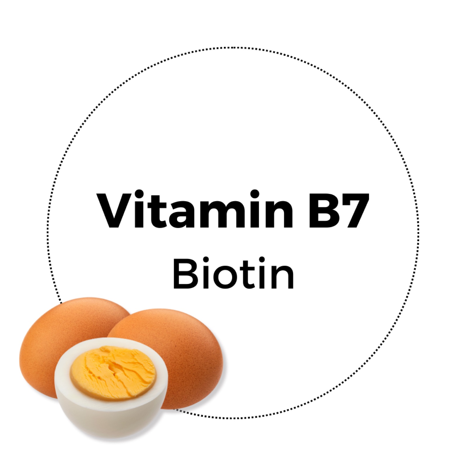 Illustration of eggs, one of them cut in half, with the text "Vitamin B7 Biotin"