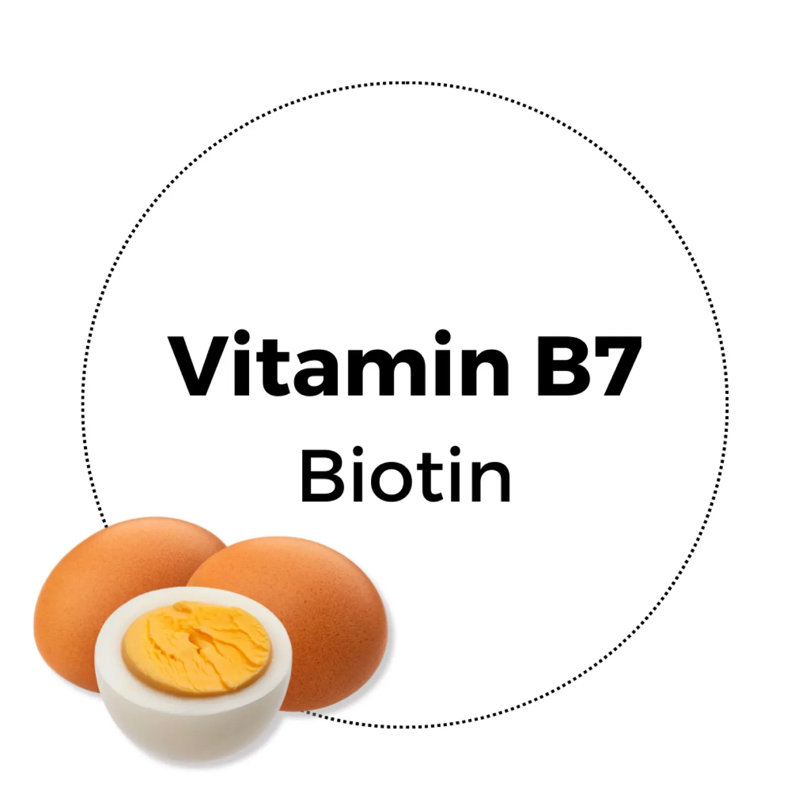 Illustration von Eiern, davon ein halbiertes Ei, mit Text "Vitamin B7 Biotin"