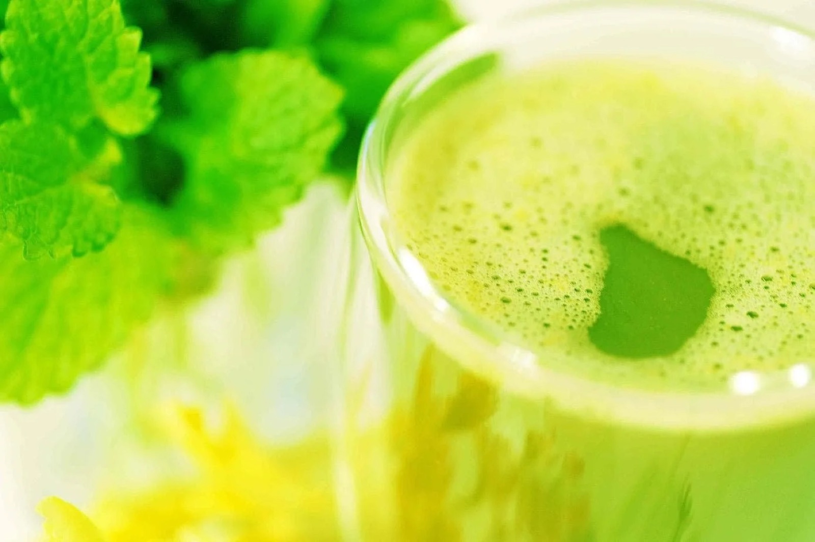 Fasting & gut balance package