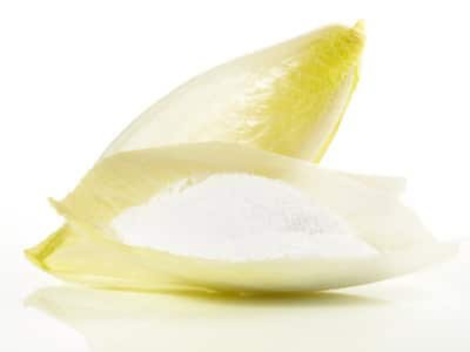 Chicory