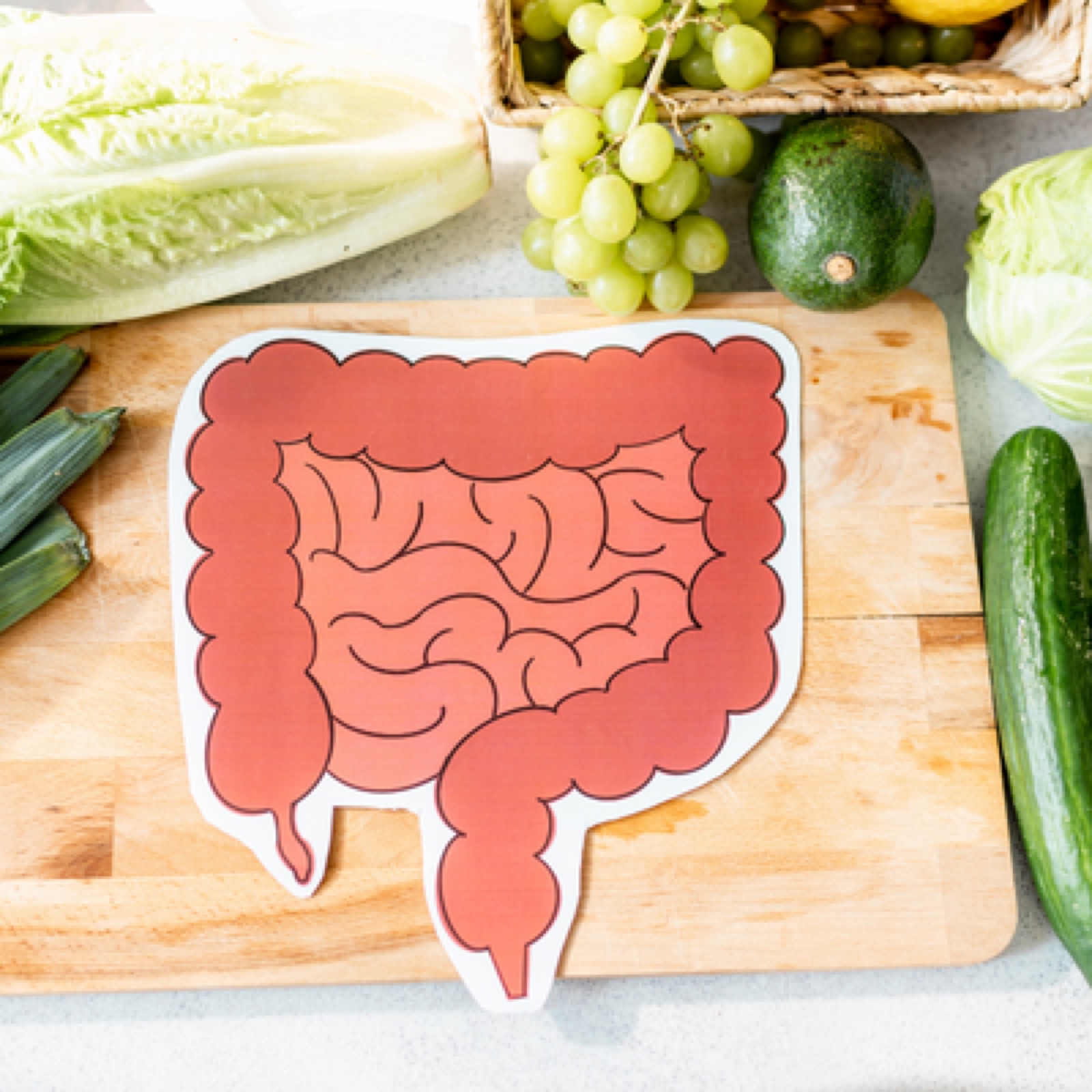 Gut & digestion