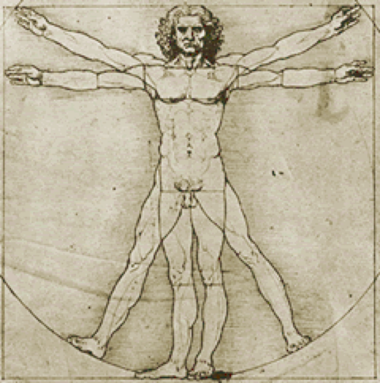Drawing of a human body in a geometric position with arms and legs outstretched.