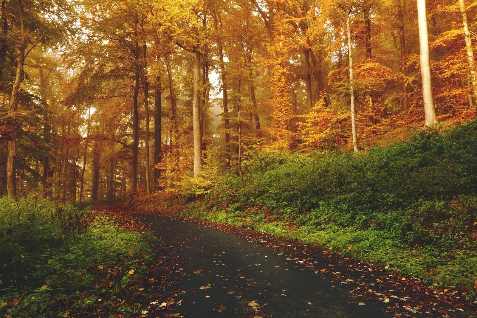 Therapeutic fasting & yoga in Berlin, naturopathic practitioner (Heilpraktiker)