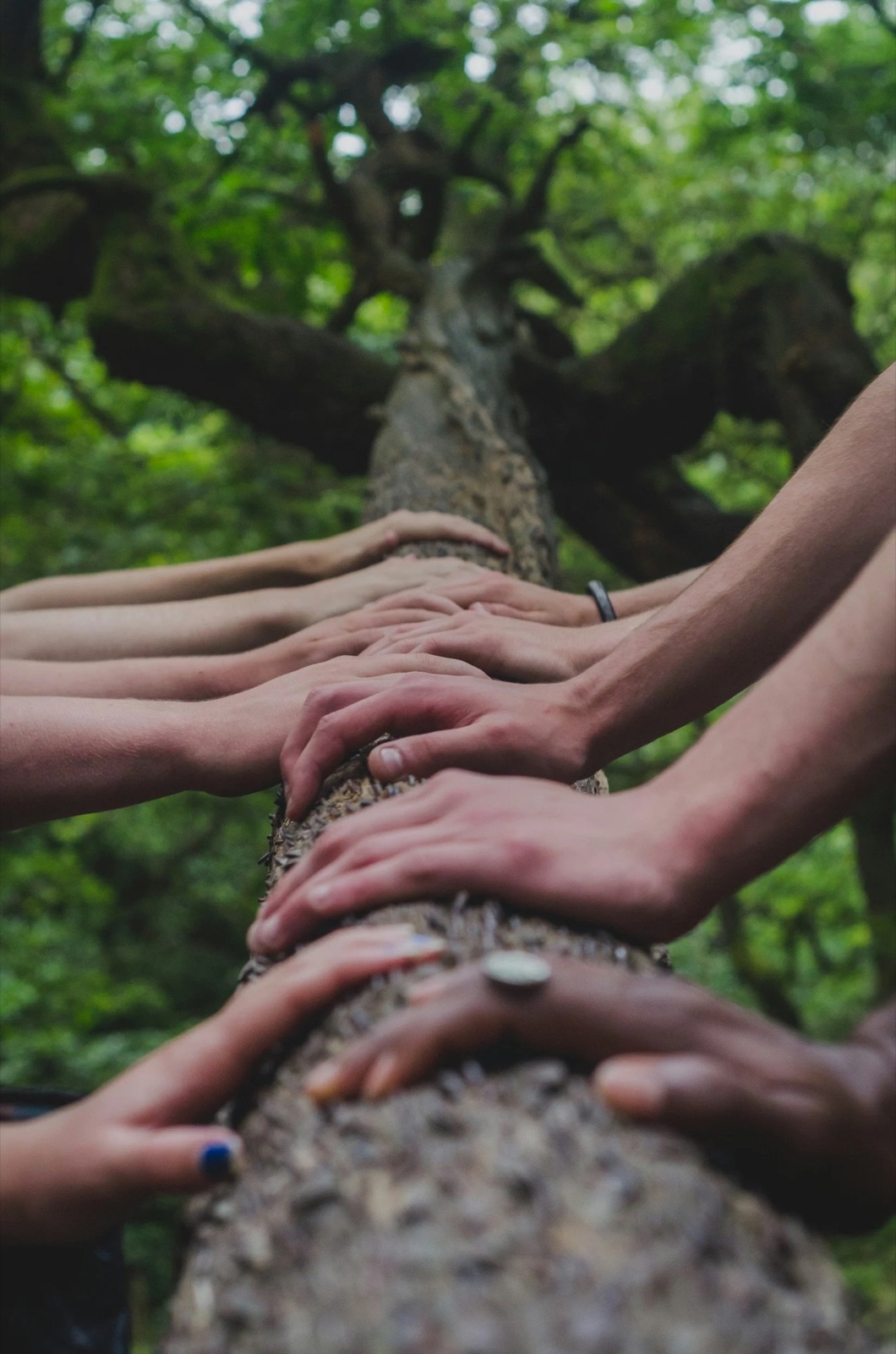 E4 Method - Thinking & Acting Holistically  Welcome to the E4 Method in Berlin