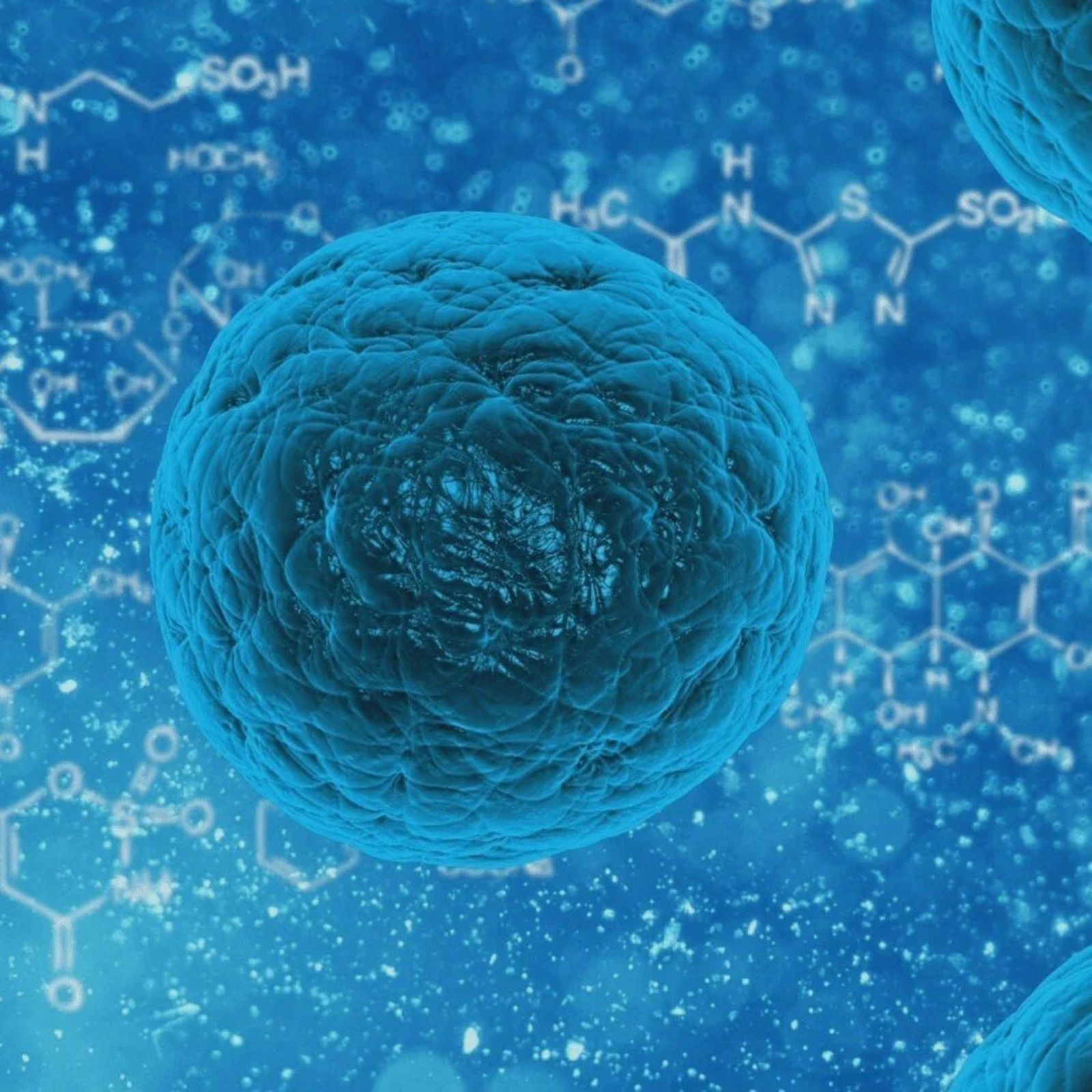 Naturopathy Berlin: immune system