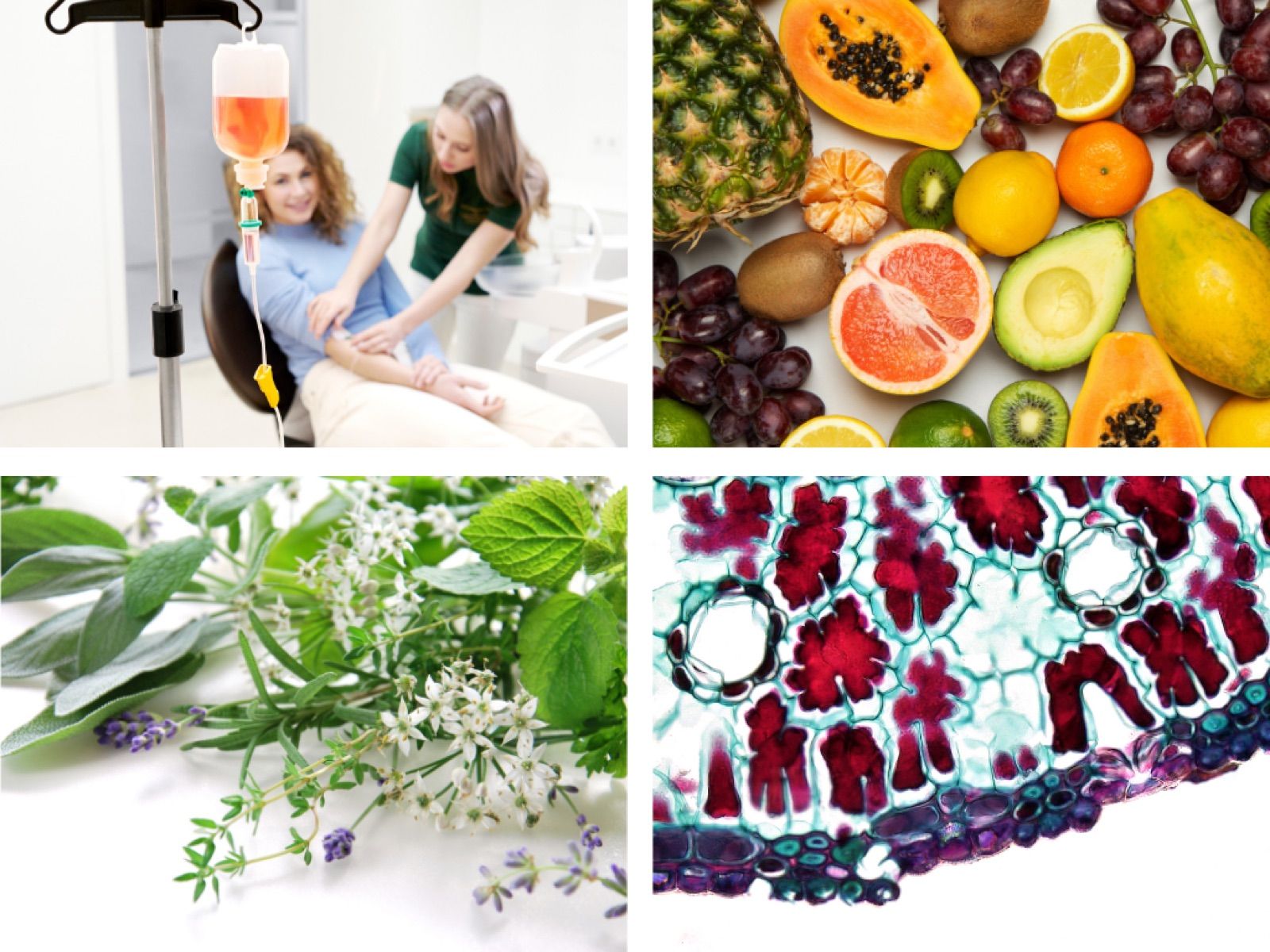 Ingredients of vitamin infusions – naturopathic practice in Berlin