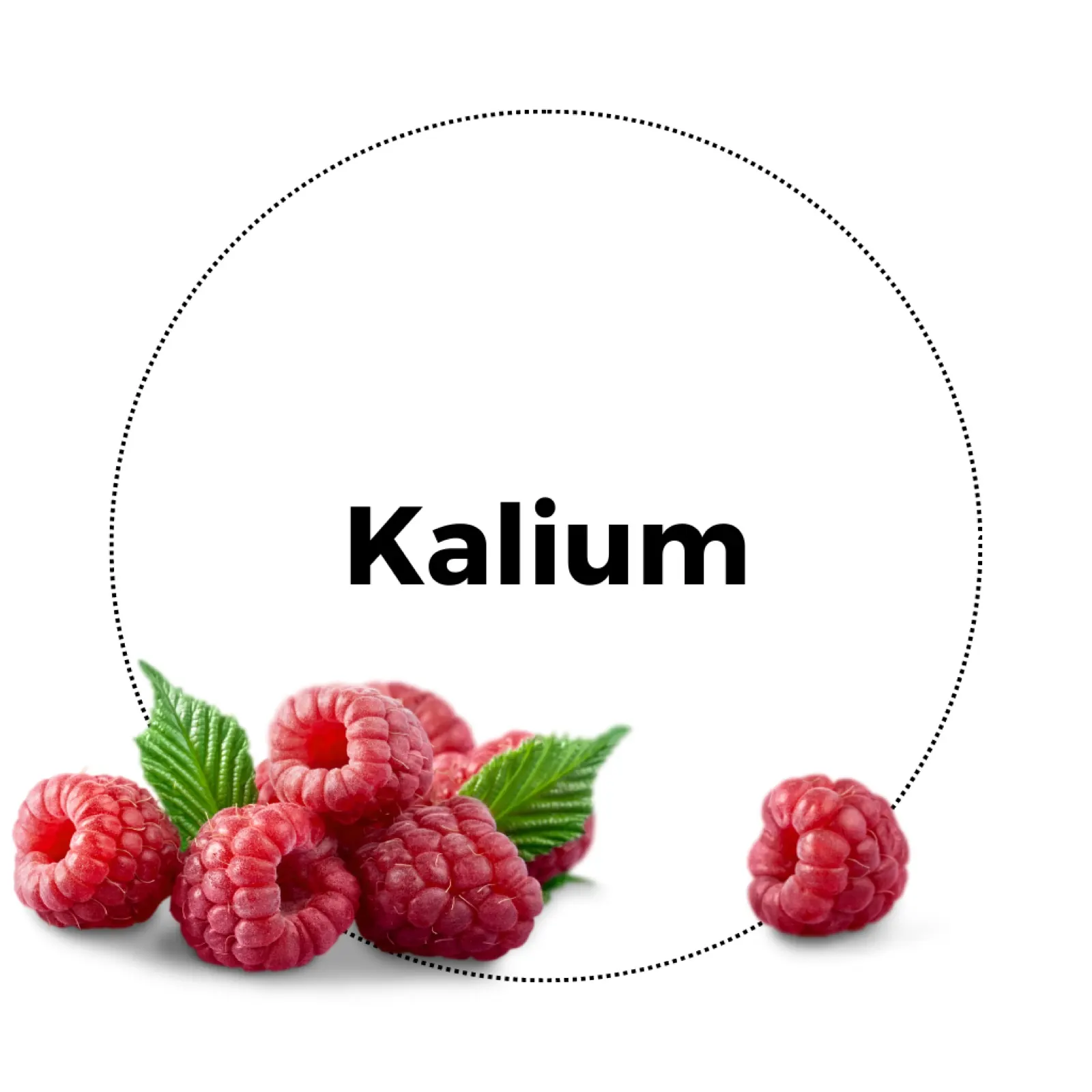 Natura Heilpraxis Vitalstoffinfusionen Kalium
