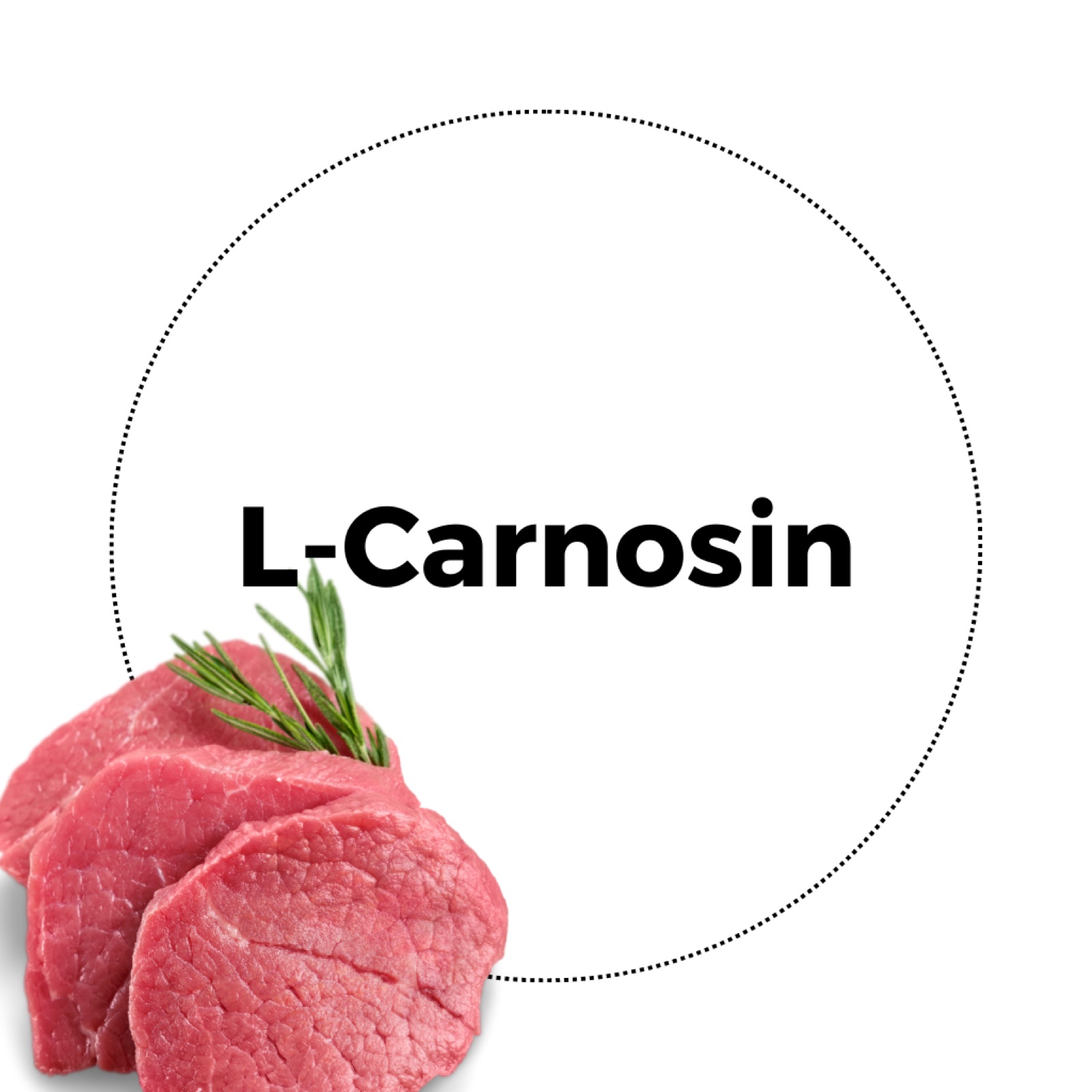 Natura Heilpraxis nutrient infusions L-carnosine