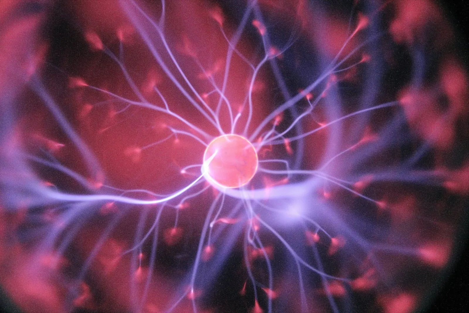 Die Rolle der Mitochondrien: Energiezentralen des Körpers