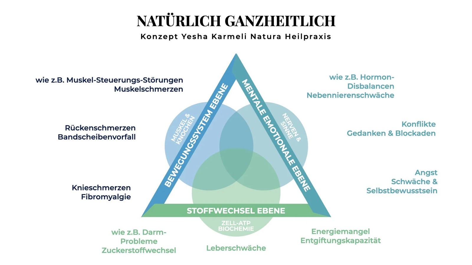 Natura Heilpraxis Magazine: Holistic Therapies