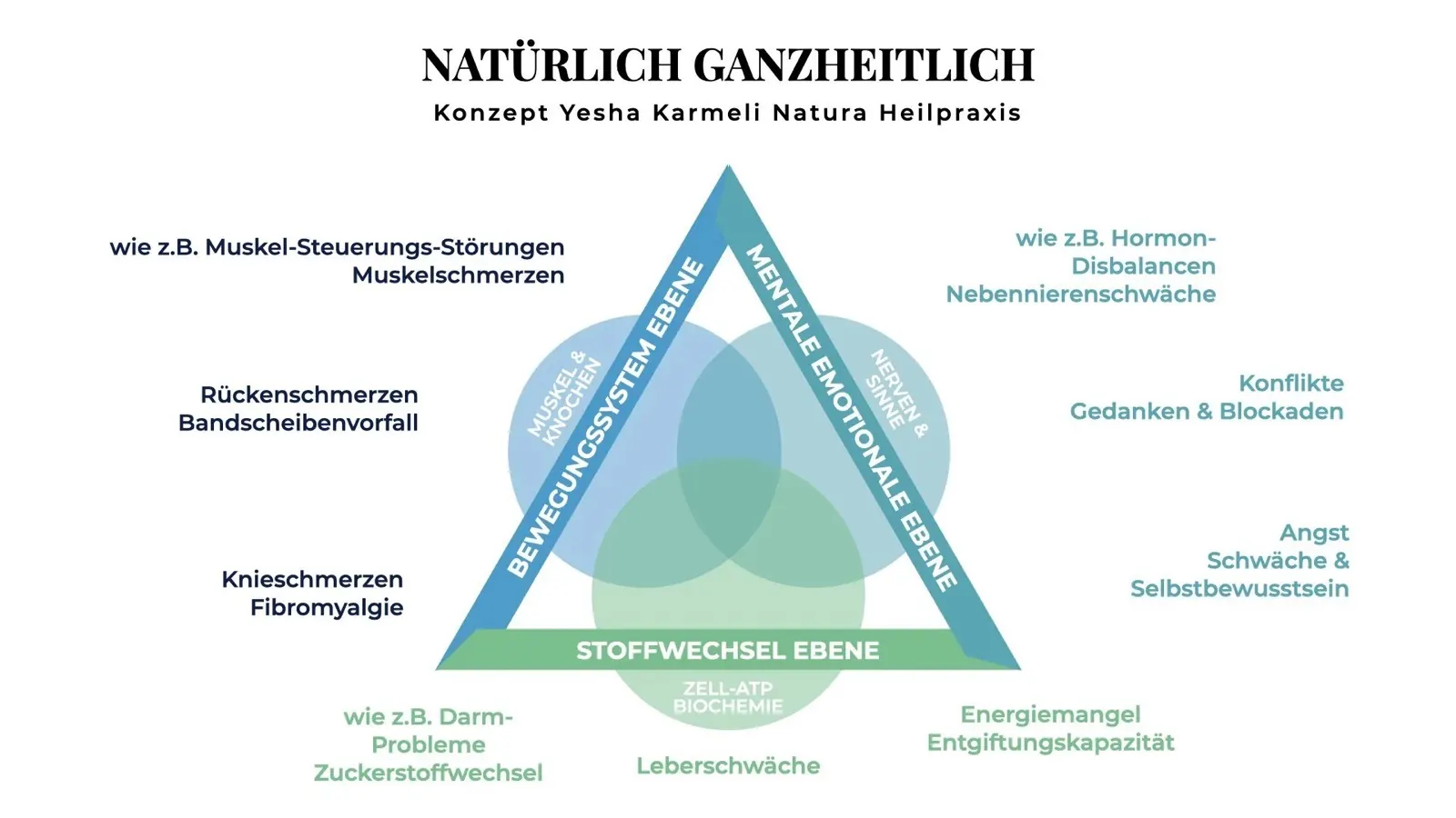 Natuhrilpraxis, natürlich Ganzheitlich, Konzept drei Säulen der ganzheitlichen Therapie