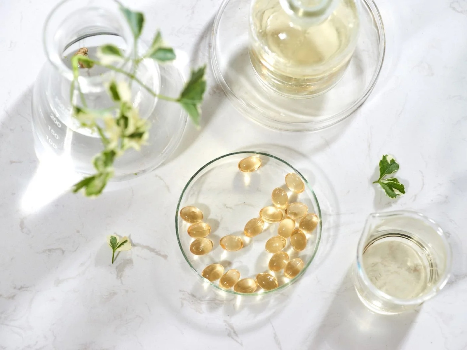 Vitamin check – blood test costs: vitamins & minerals & energy infusion