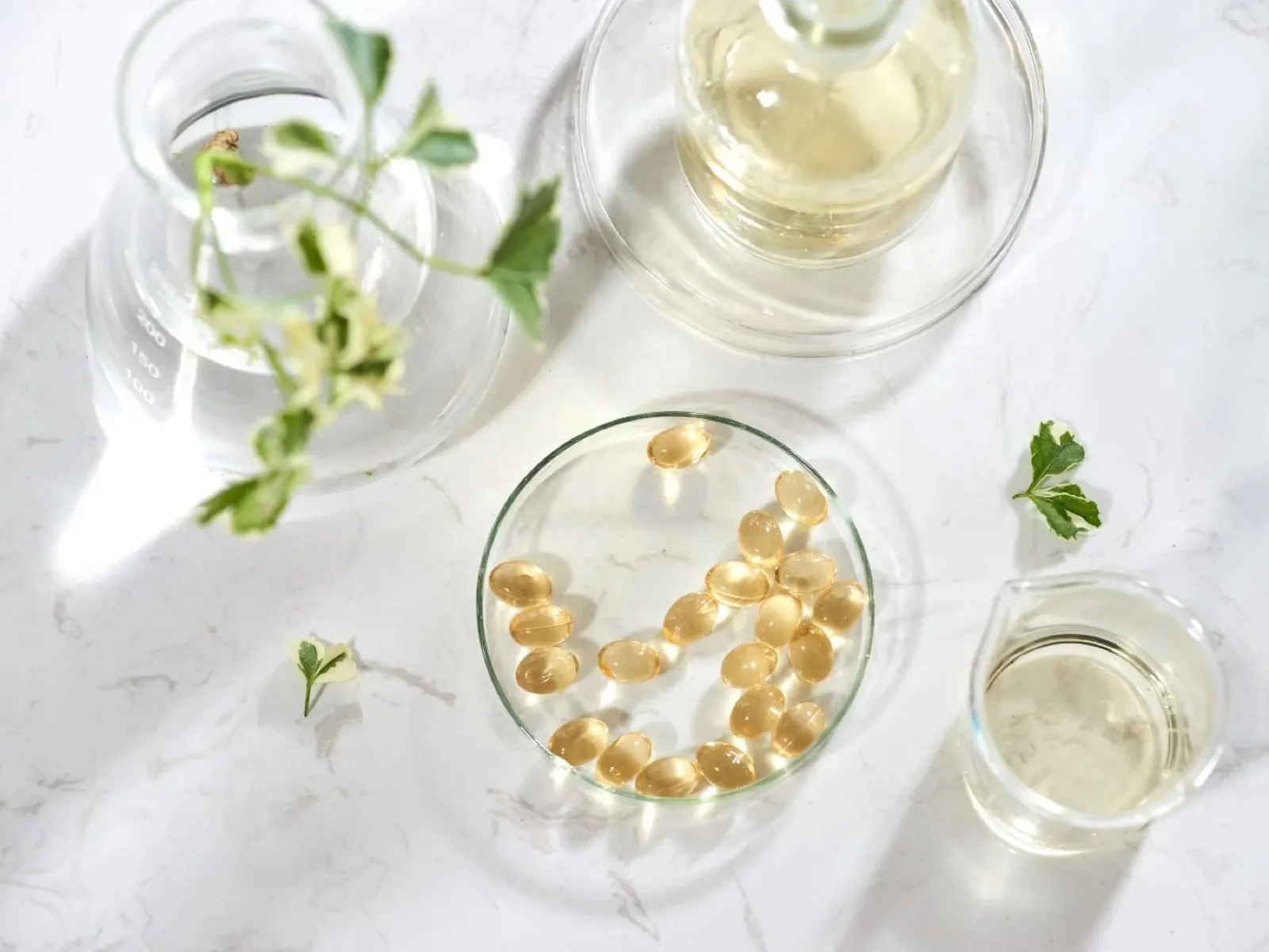 Vitamincheck – Bluttest Kosten: Vitamine & Mineralstoffe & Energie-Infusion