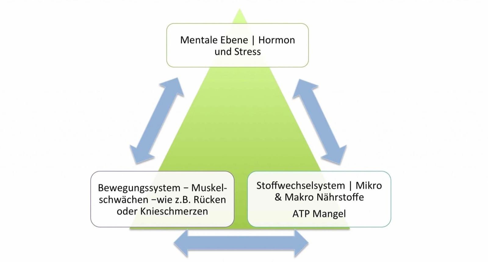 Causes of back pain, naturopathic practitioner Berlin - holistic