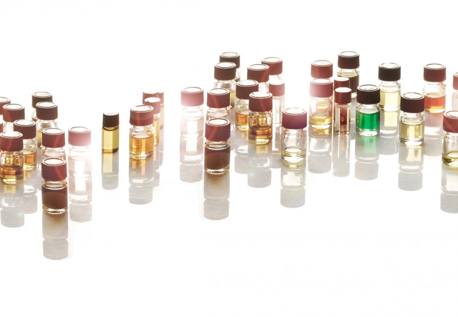 Various small bottles with liquid substances on a white background.