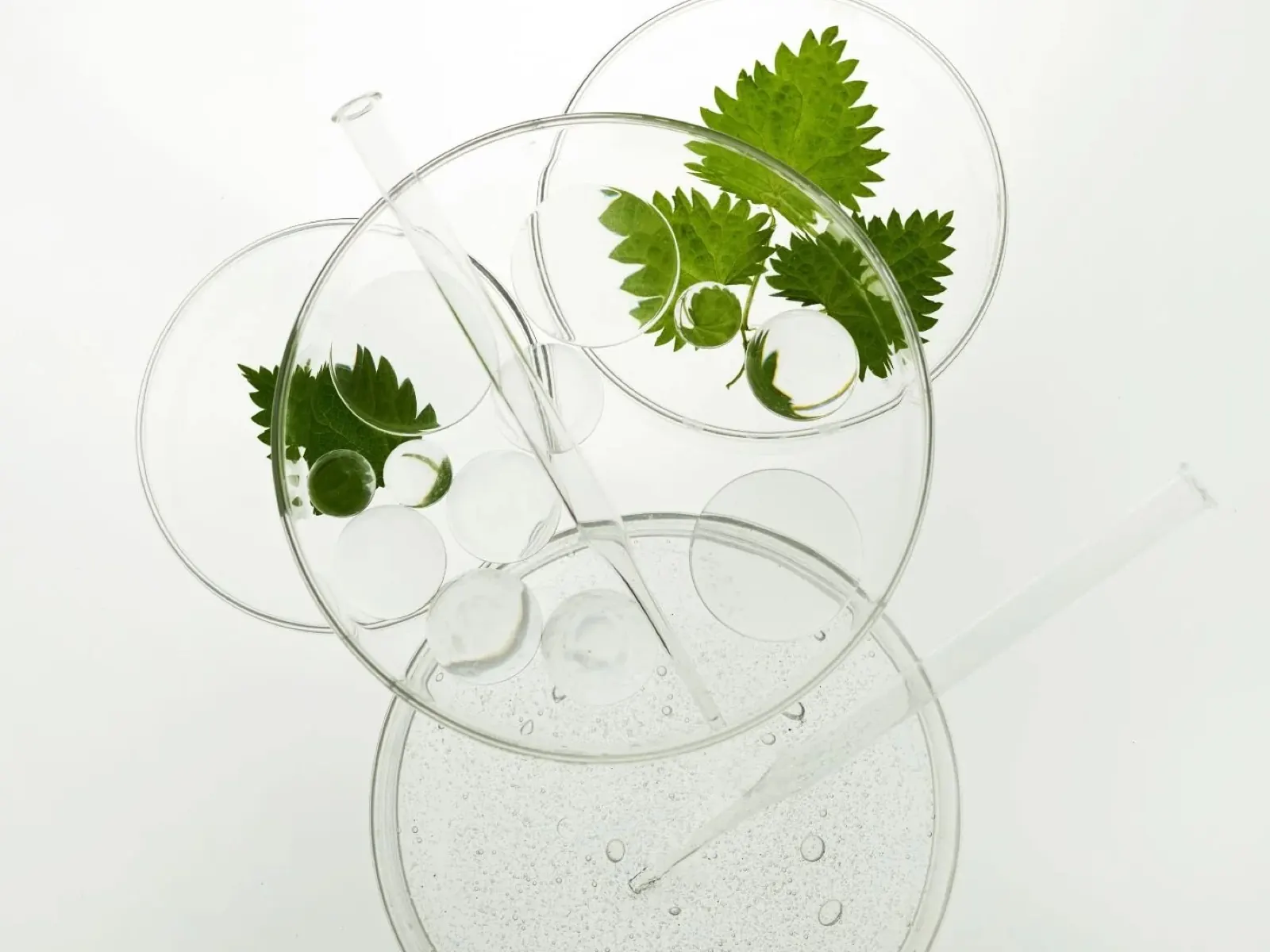 Mikronährstoffmedizin – Orthomolekulare Medizin - Labor CHECK-UP Vitamine