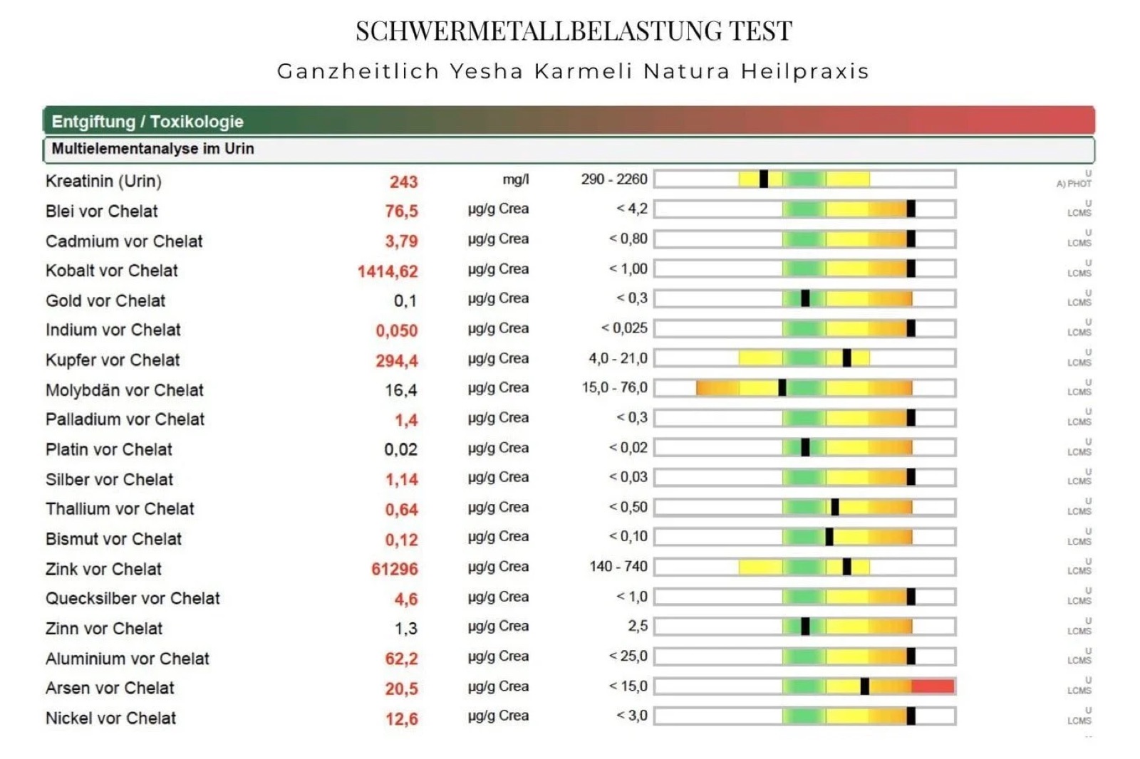 Result of a heavy metal exposure test at Yesha Karmeli's naturopathic practice, with values for various metals such as lead, cadmium, mercury, arsenic and nickel. The values are color-coded, with some values exceeding the limits.