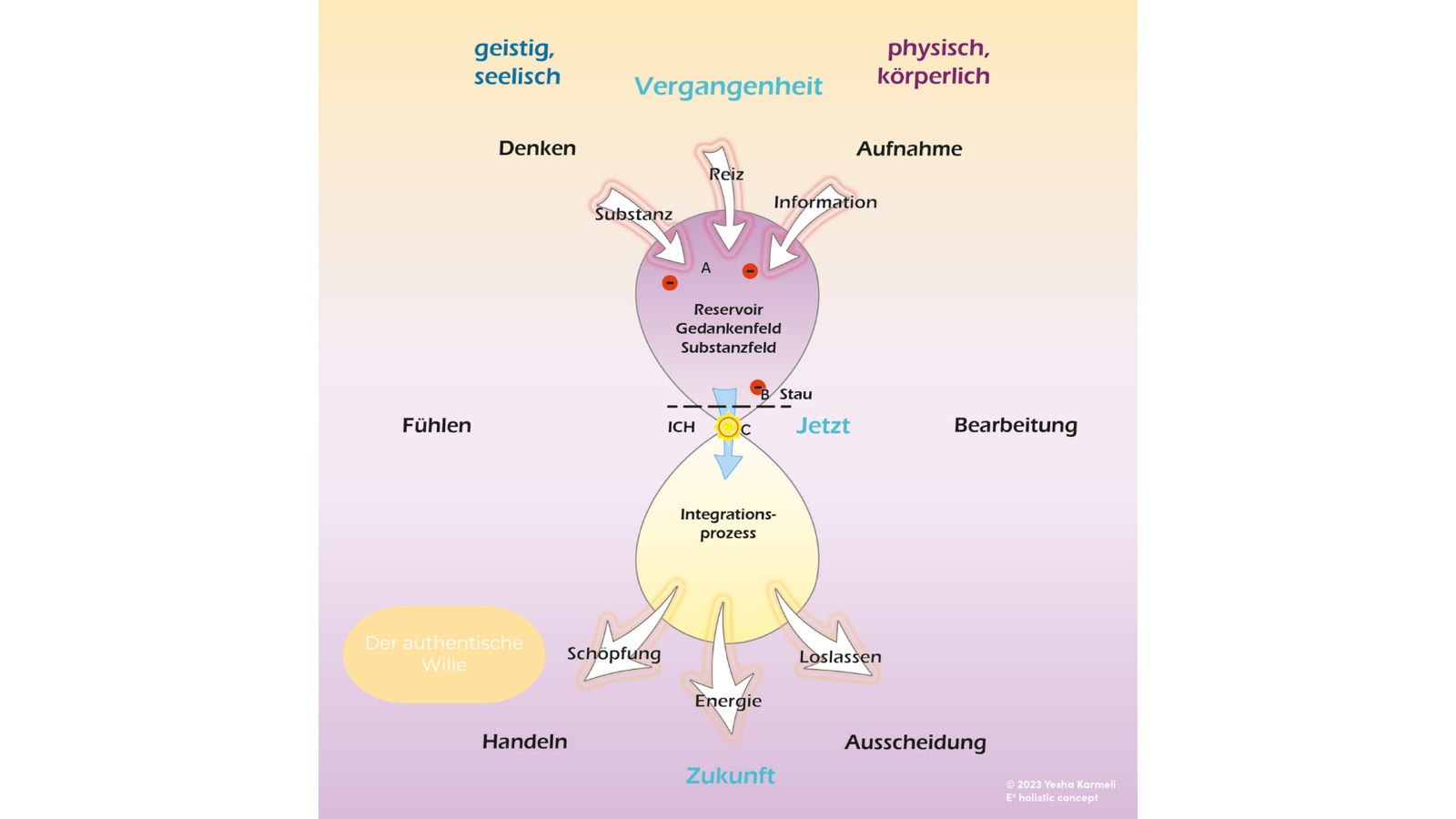 Diagram showing the transition from the mental-emotional past to the physical future, with a reservoir in the upper area and an integration process in the lower area. It contains terms such as thinking, perception, information, energy, letting go, action and future development.