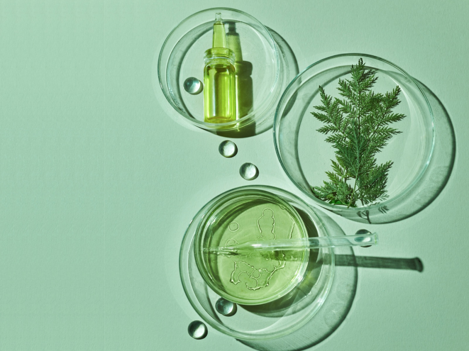 Natura Heilpraxis special infusions