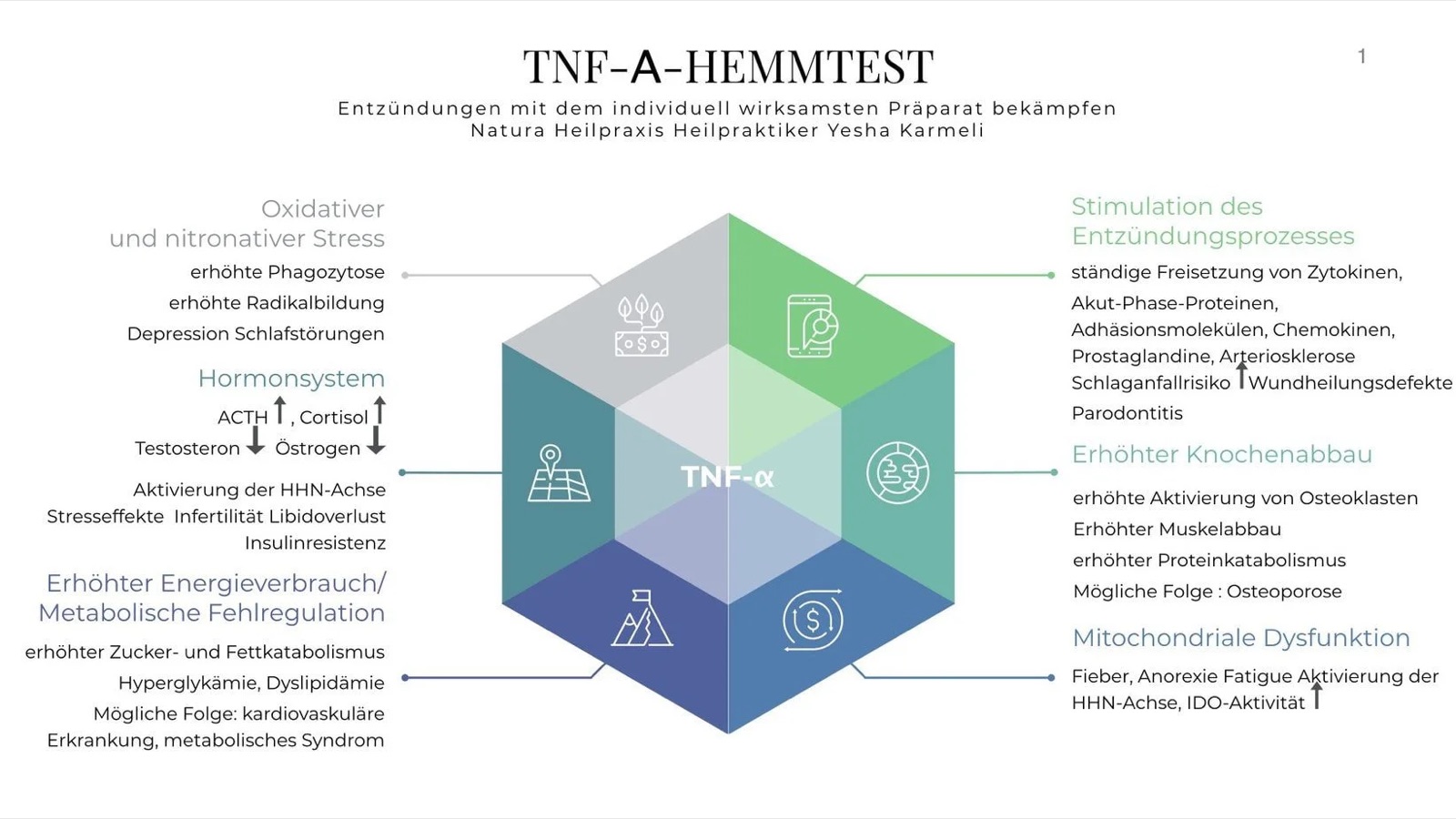 The TNF-alpha inhibition test