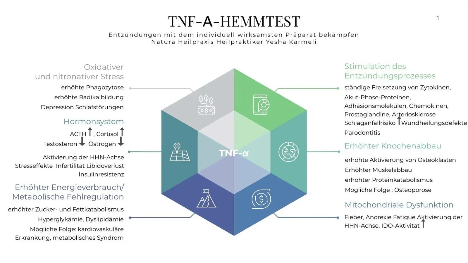 Der TNF Alpha Hemmtest