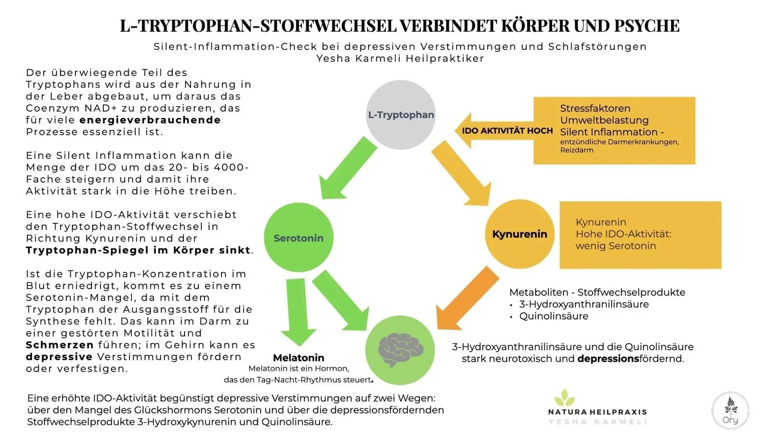 L-Tryptophan und Serotonin