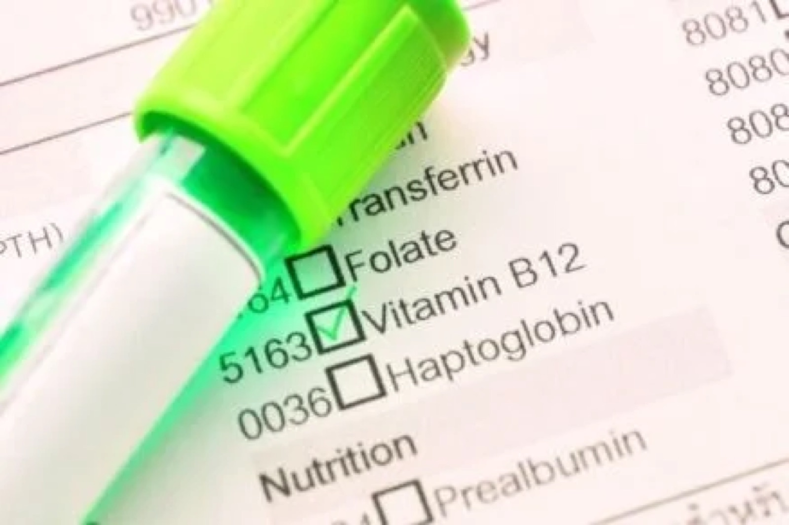 Naturopathy Berlin: nutritional counseling – advantages of a conscious vegetarian diet