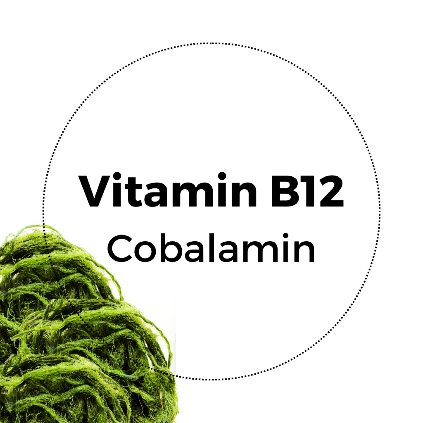 Natura Heilpraxis vitamin infusions vitamin B12